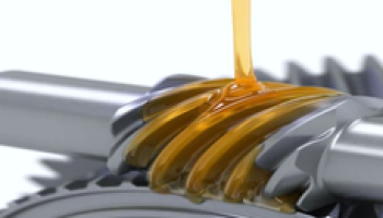 รูปภาพ20